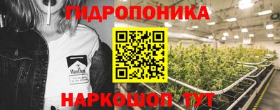 прущие грибы Бузулук