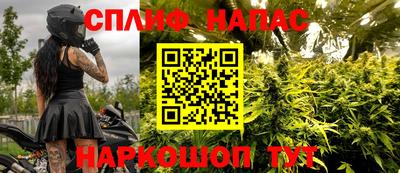 прущие грибы Бузулук
