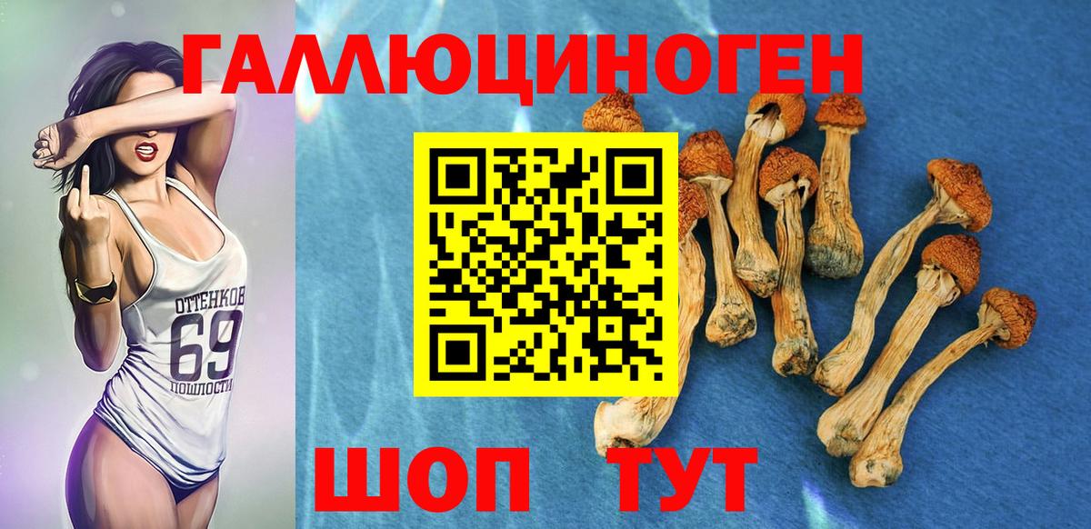 Магнитогорск  Псилоцибиновые грибы MAGIC MUSHROOMS  Вход с VPN 