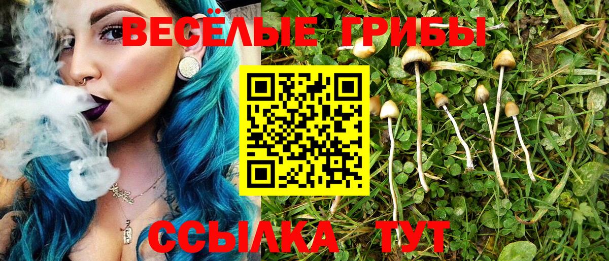 Галлюциногенные грибы GOLDEN TEACHER Магнитогорск